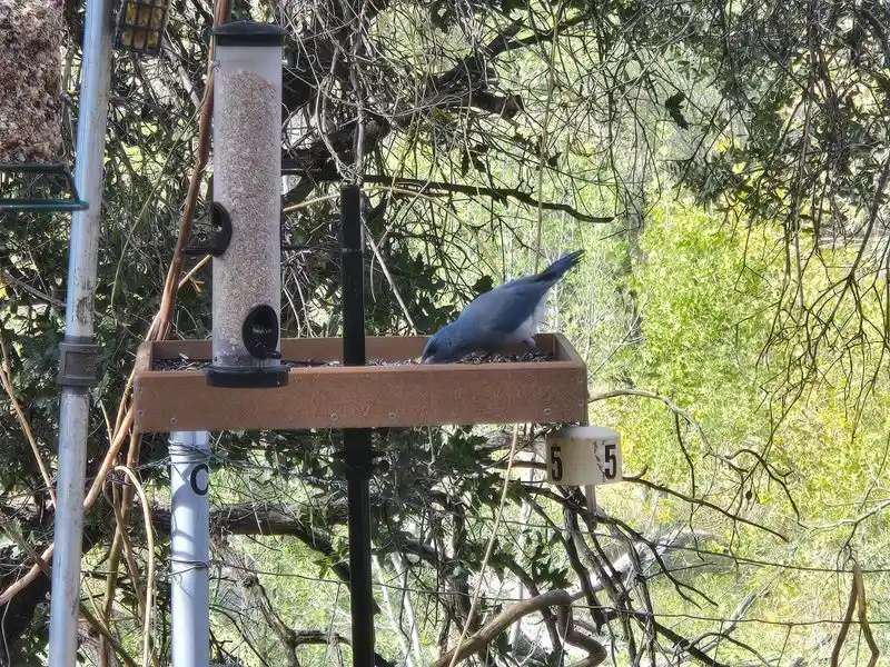 Family friendly: easy trails and kid approved stops