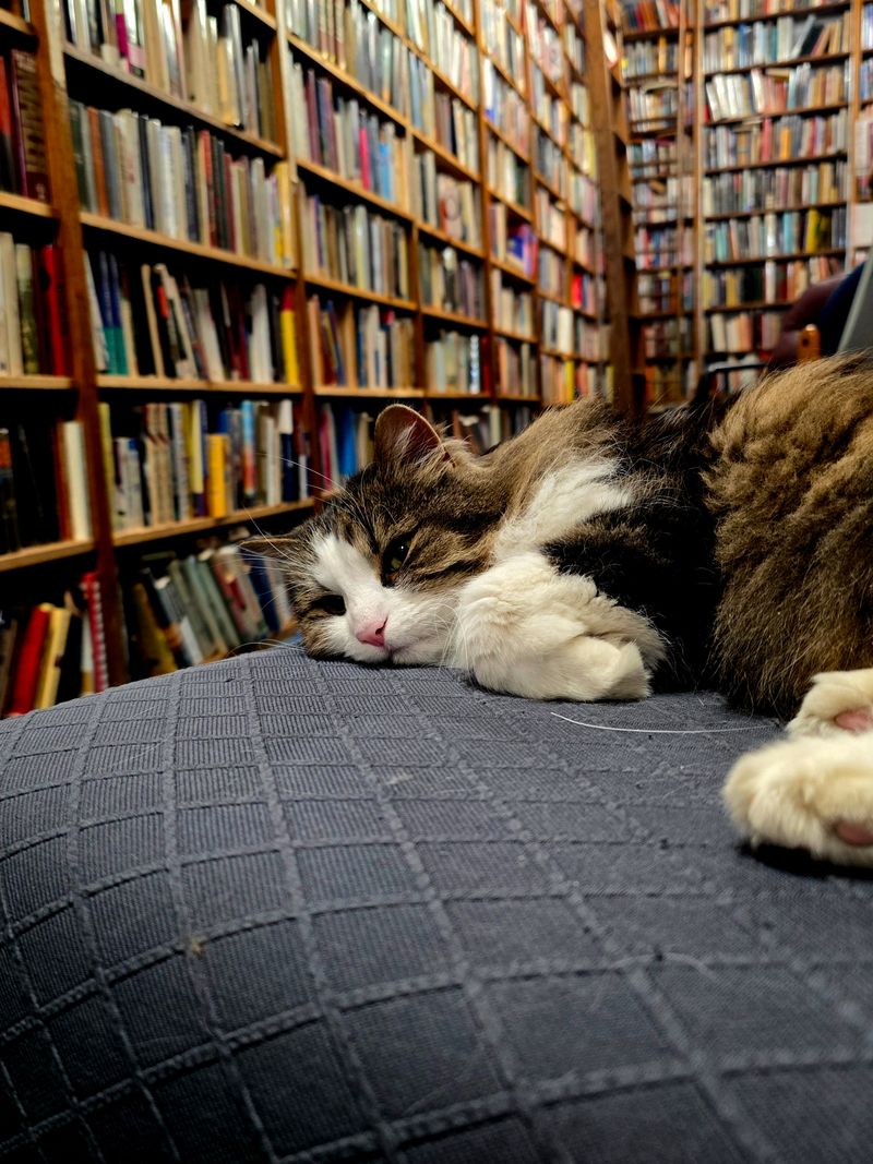 Children’s corner and read together finds