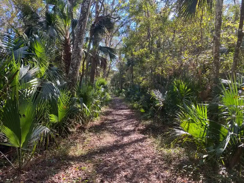 The Florida Trail Segment That Runs Through It