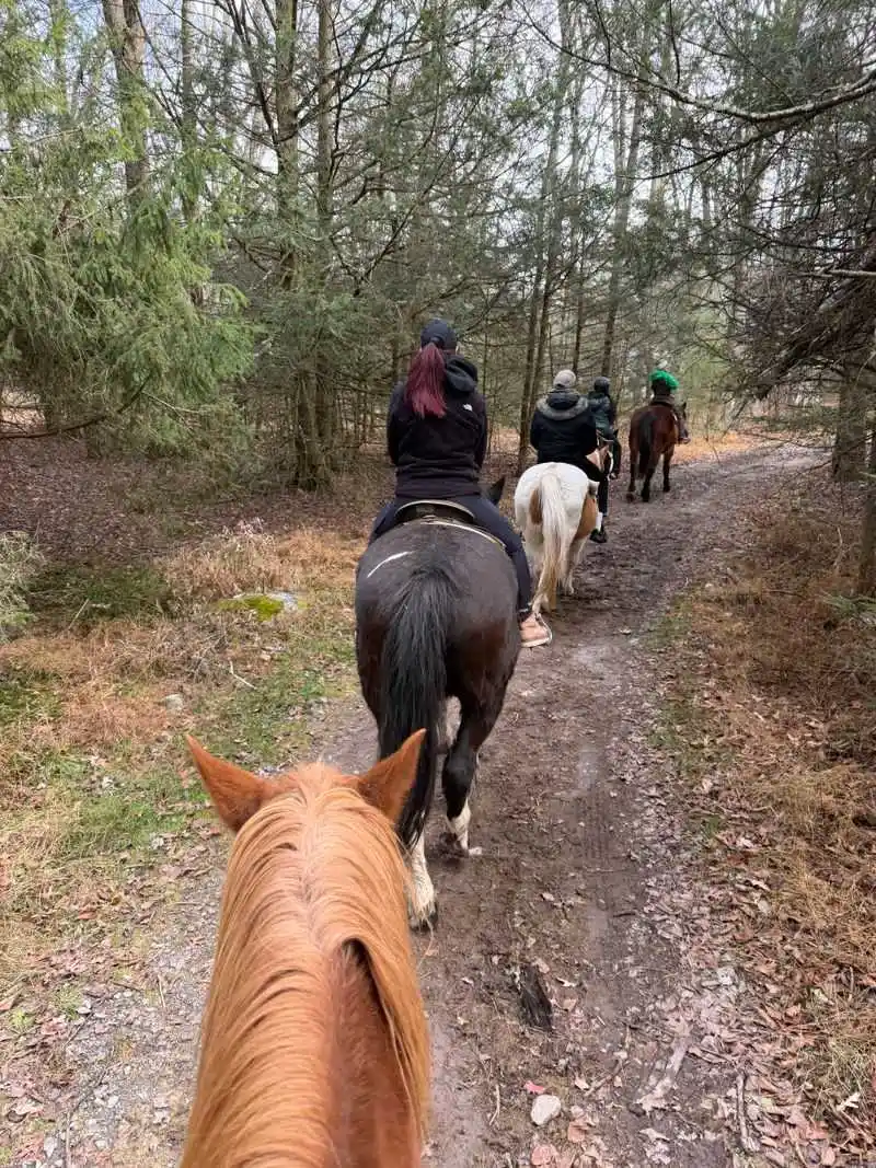 Trail scenery and seasonal highlights