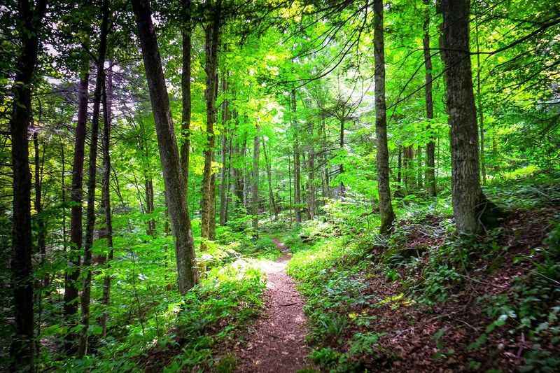 The Worlds End Trail: Rugged Loop Sampler