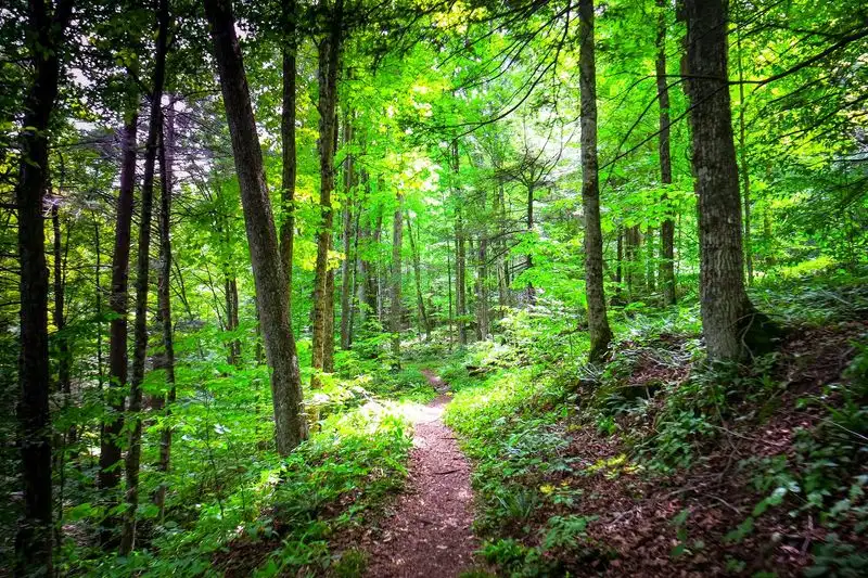 The Worlds End Trail: Rugged Loop Sampler