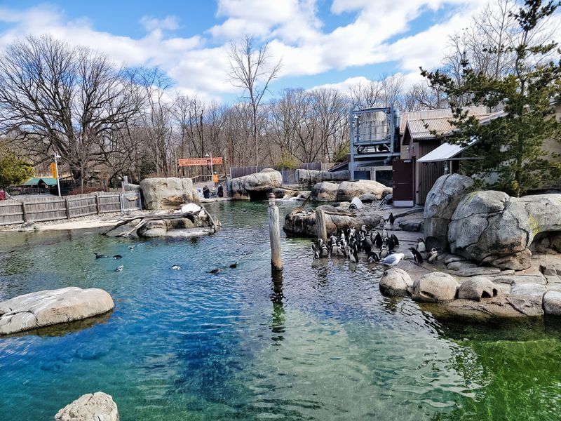 Maryland – Maryland Zoo in Baltimore – Baltimore