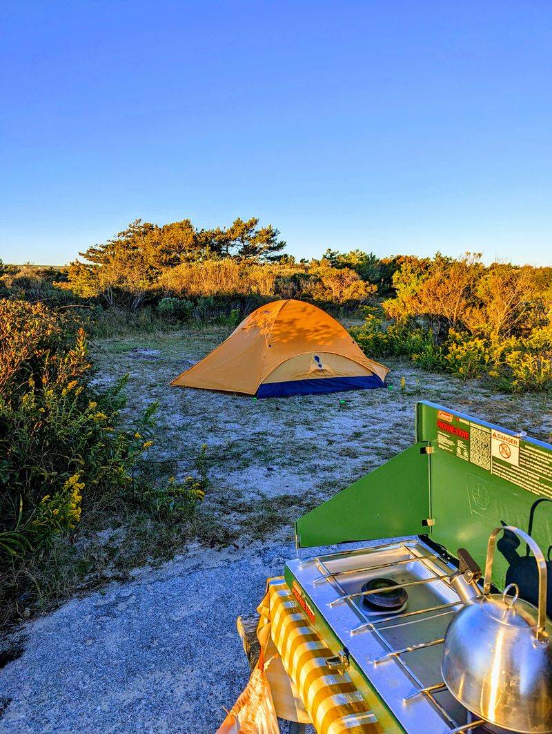 Maryland — Assateague State Park Campground, Berlin