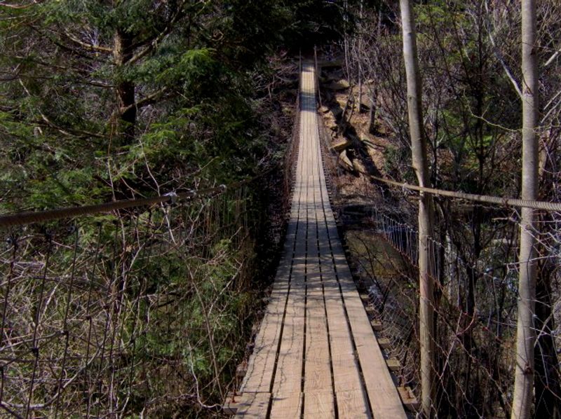 Suspension Bridge Adventure