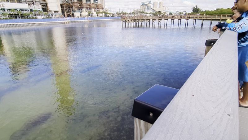 Tampa Electric&rsquo;s Big Bend Power Station