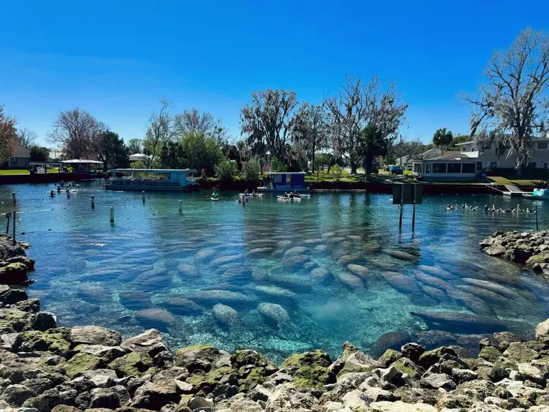 Three Sisters Springs Boardwalk: Blue Windows to Nature