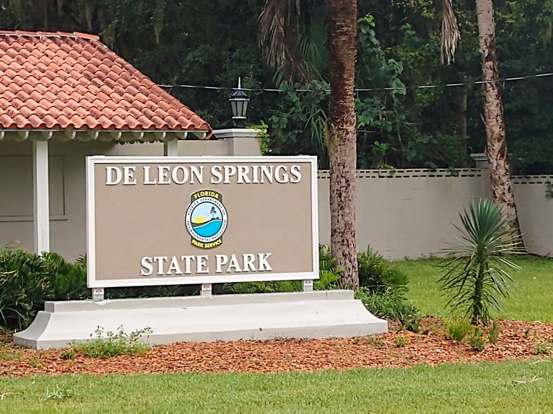 Logistics: hours, fees, and getting there early