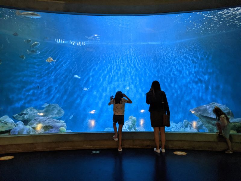 National Mississippi River Museum & Aquarium – Dubuque