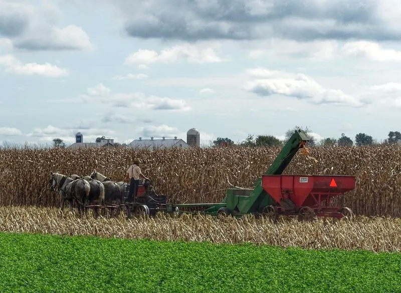 Barn Quilts and Backroads: A Scenic Loop
