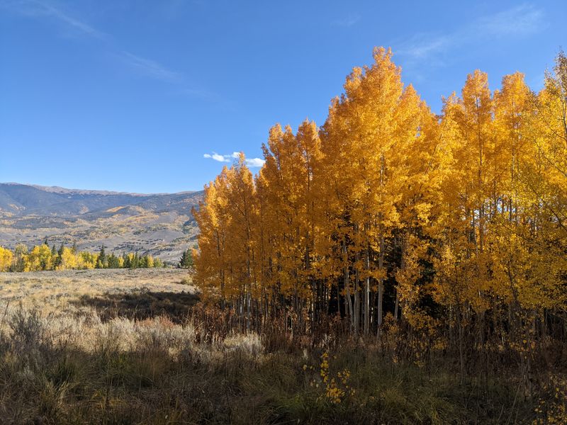 Mesa Cortina Trail &ndash; Vail, CO