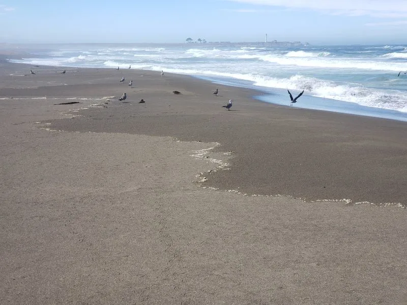 Manchester State Park