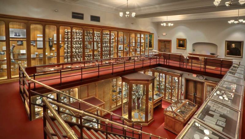 Spanish Flu and Public Health Lessons