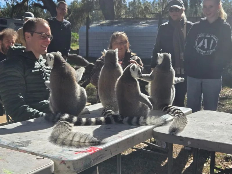 Group Tours vs Private Experiences