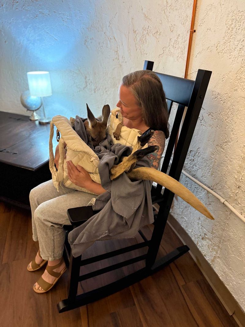 Photography Opportunities