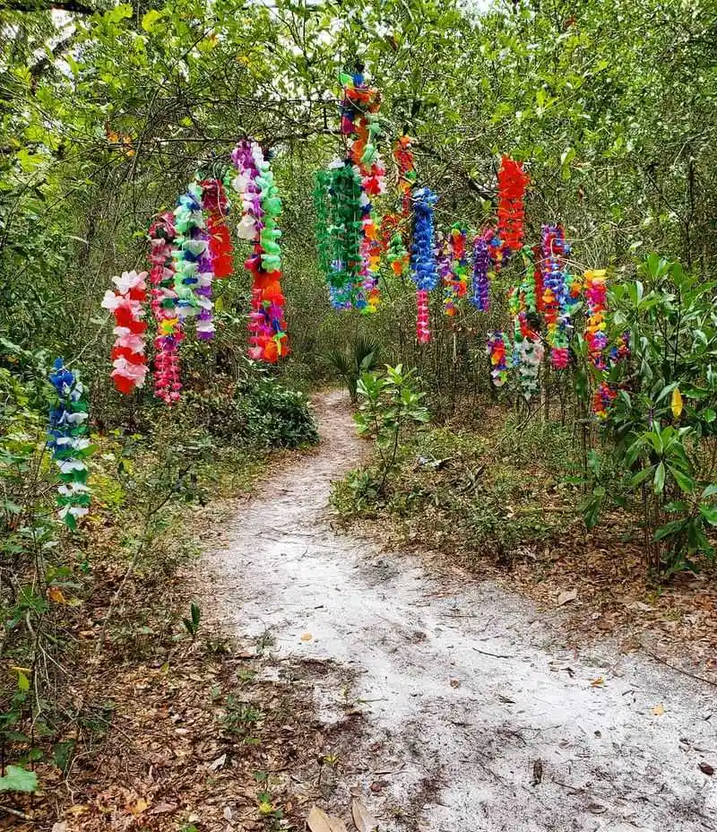 Accessibility, Footing, and Safety Tips