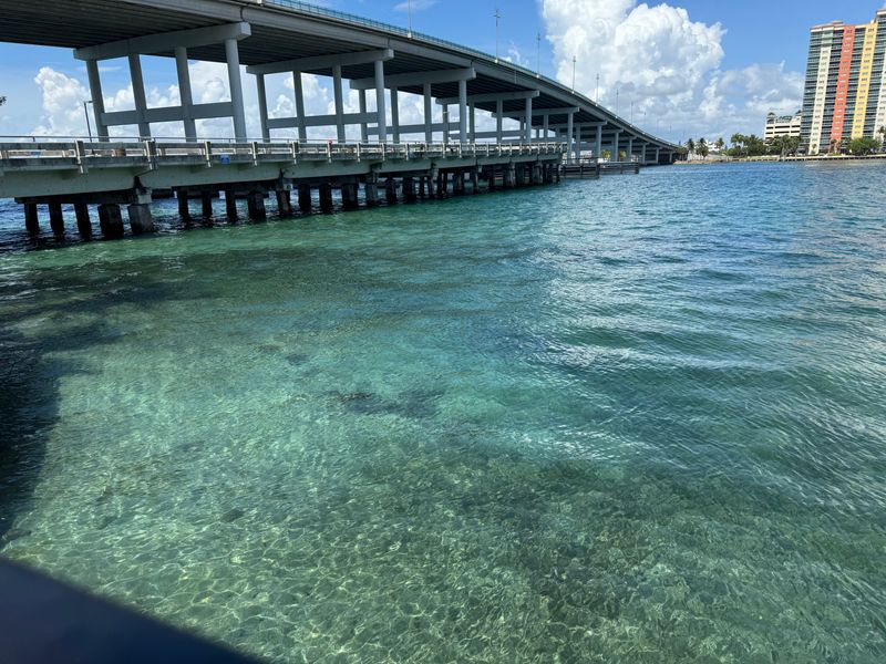 Blue Heron Bridge (West Palm Beach)