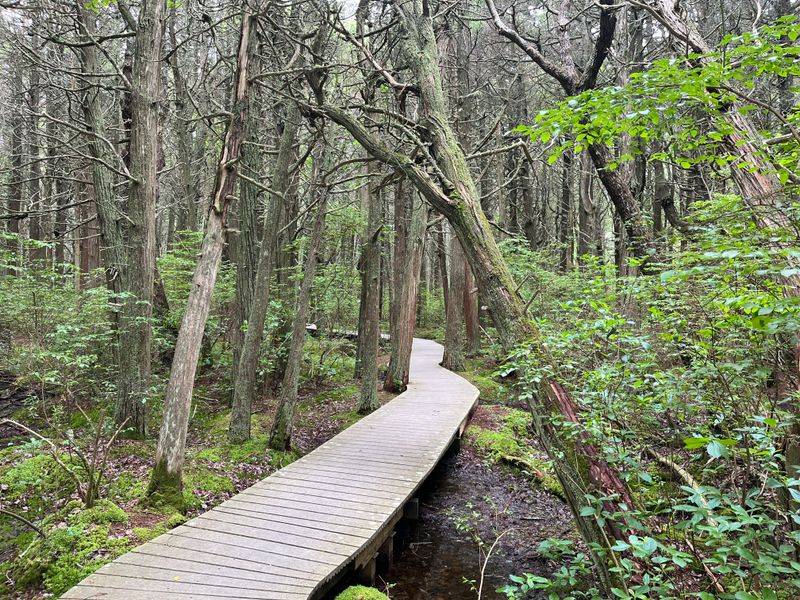 Trailhead Warmup And Wayfinding