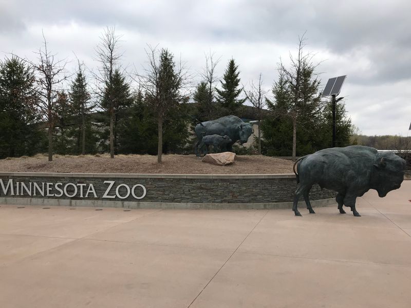 Minnesota – Minnesota Zoo – Apple Valley