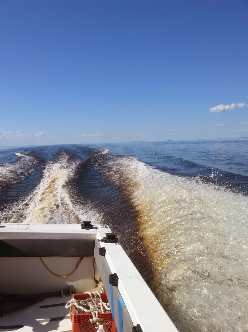 Minnesota - Lake of the Woods