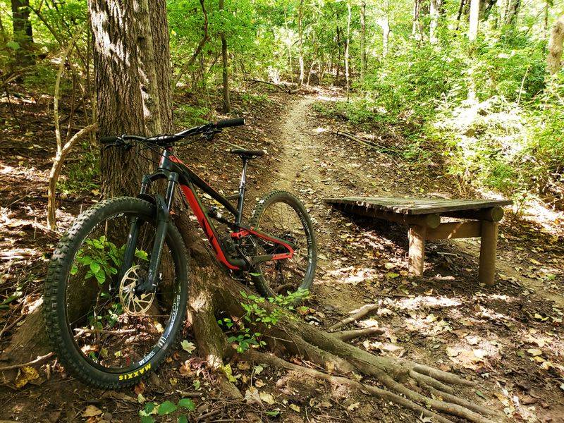 Percy Warner Mountain Bike Trail, Tennessee