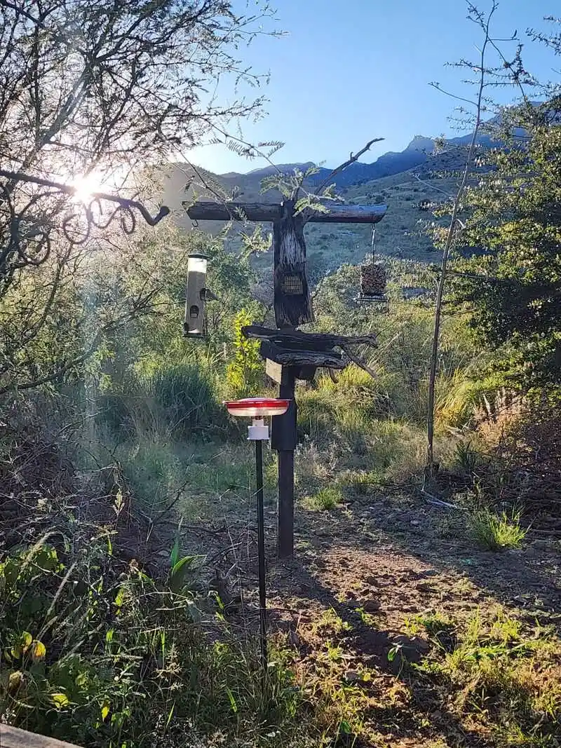 When to go and how to plan