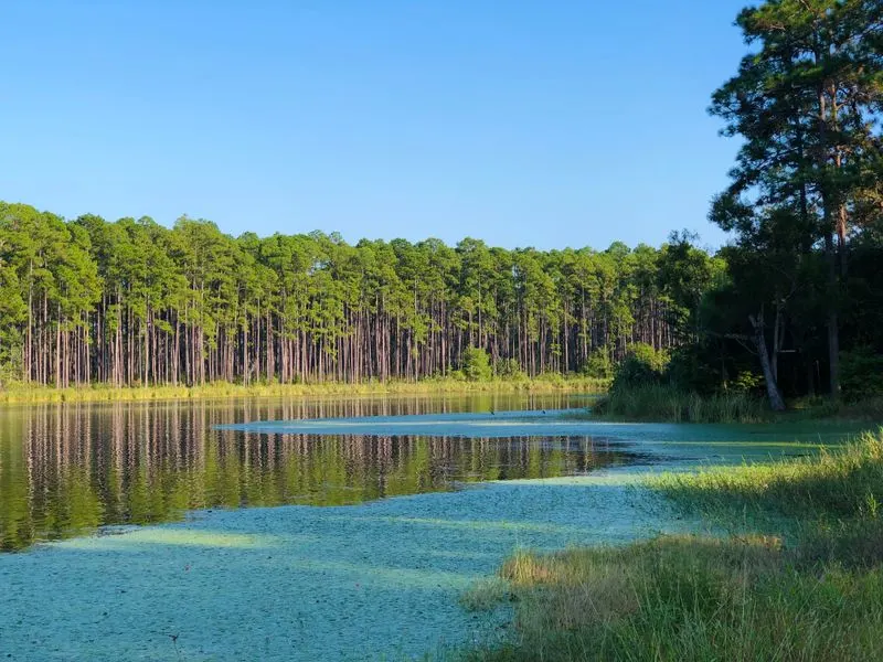 Bear Lake Campground