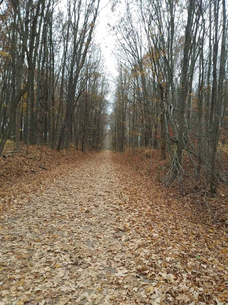 Kal-Haven Trail, Michigan