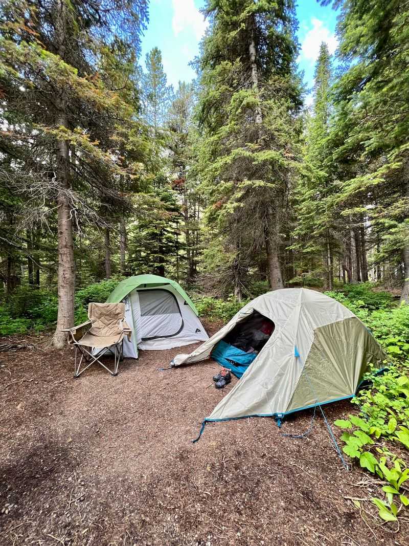 Montana — Many Glacier Campground, Glacier National Park