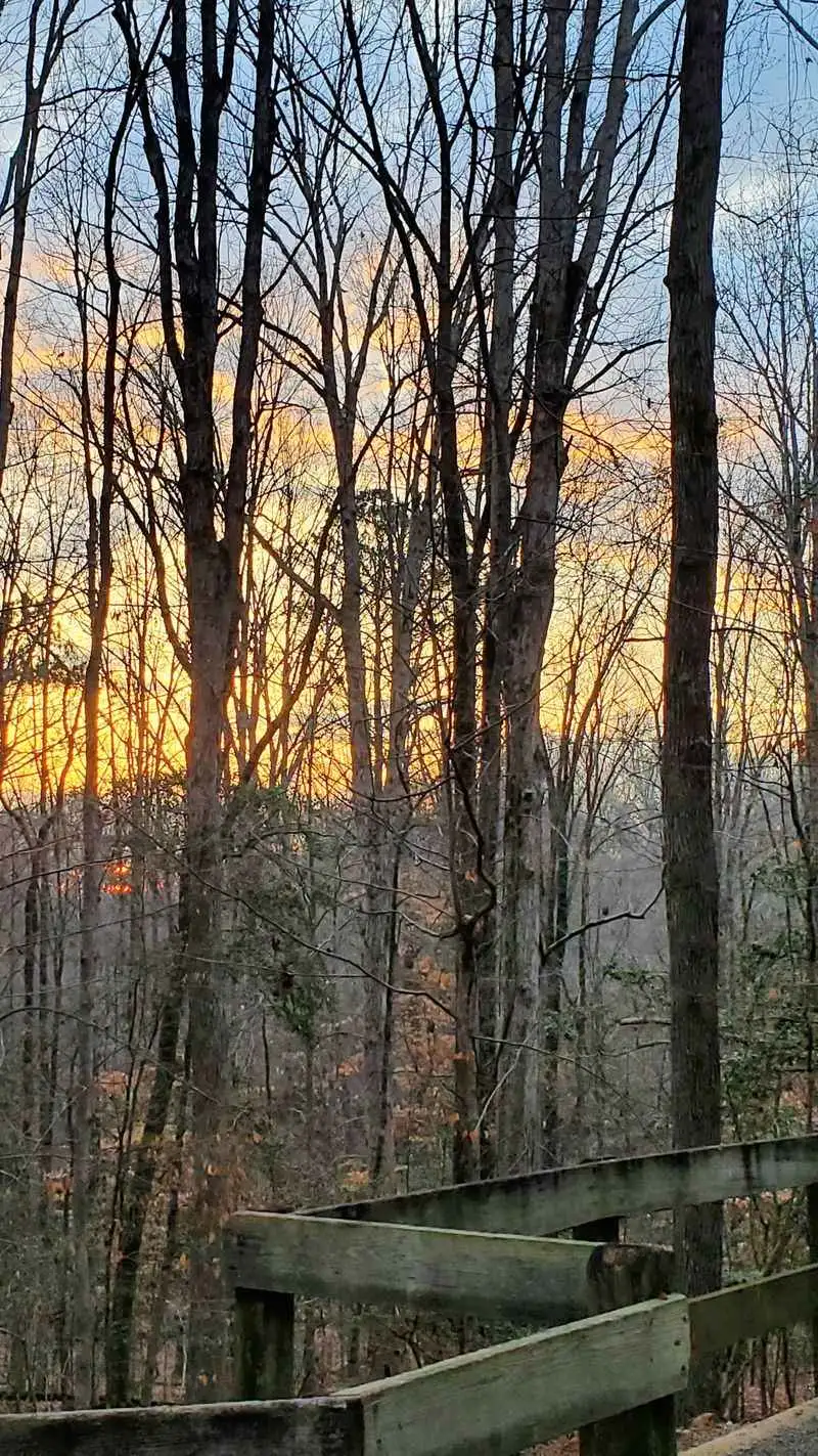 Quiet evenings, starry skies, and a promise to return