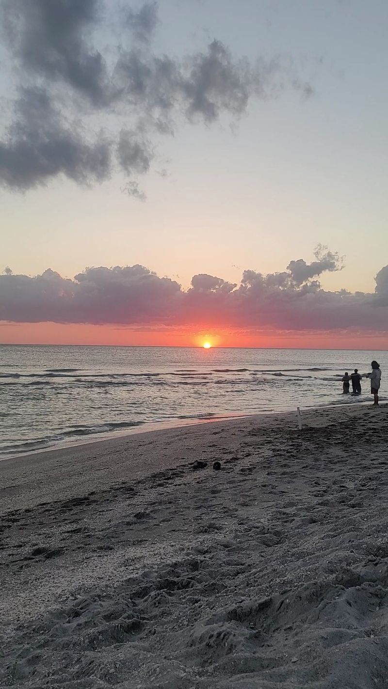 Sanibel and Captiva Comeback