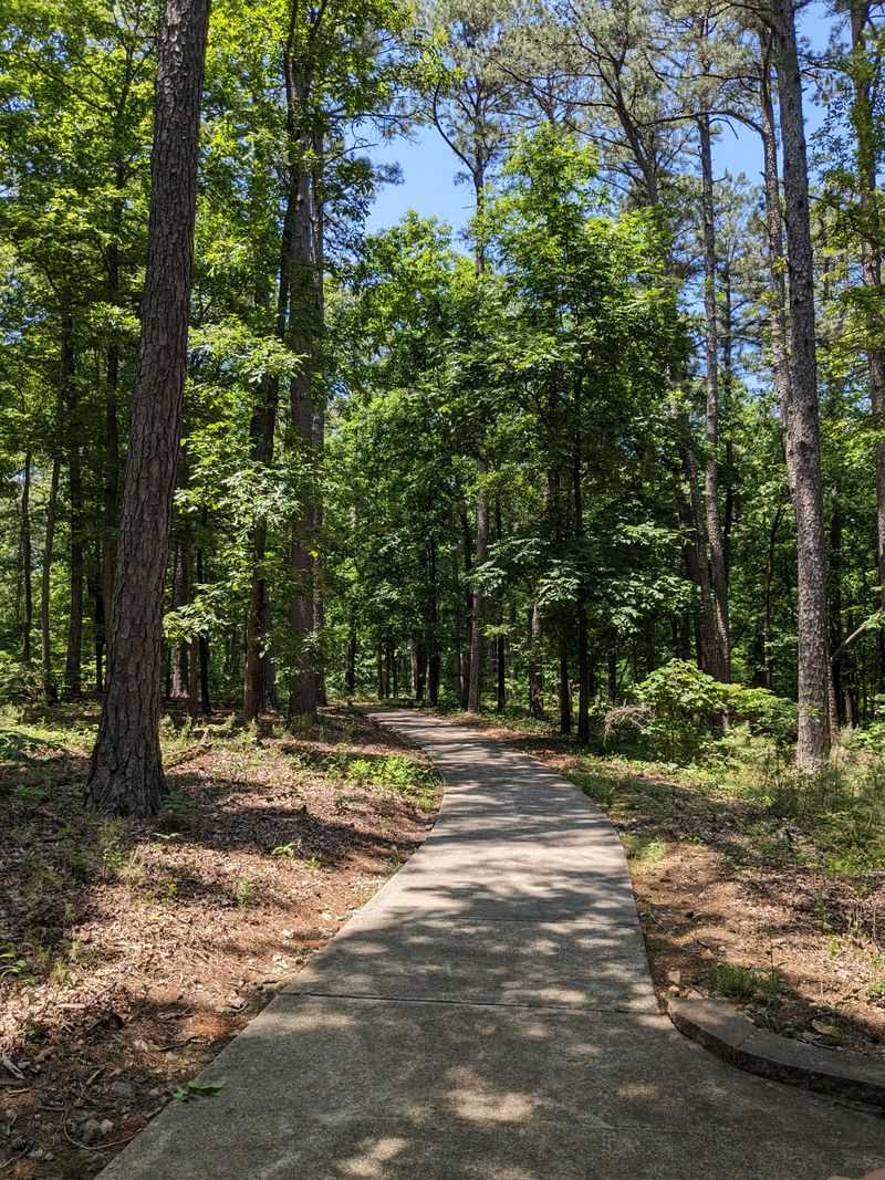 Seasonal Highlights: Fall Color to Winter Eagles