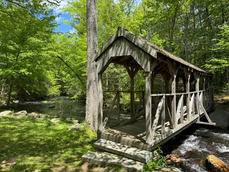 Willard Brook State Forest