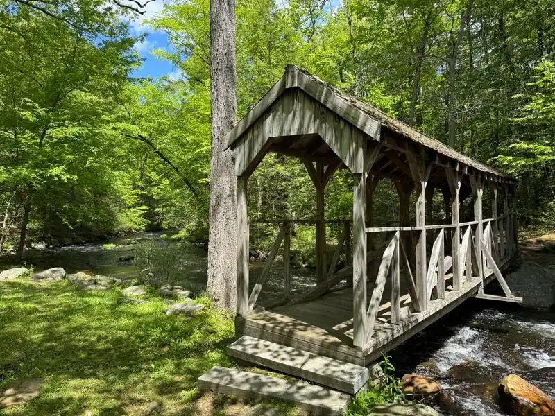 Willard Brook State Forest