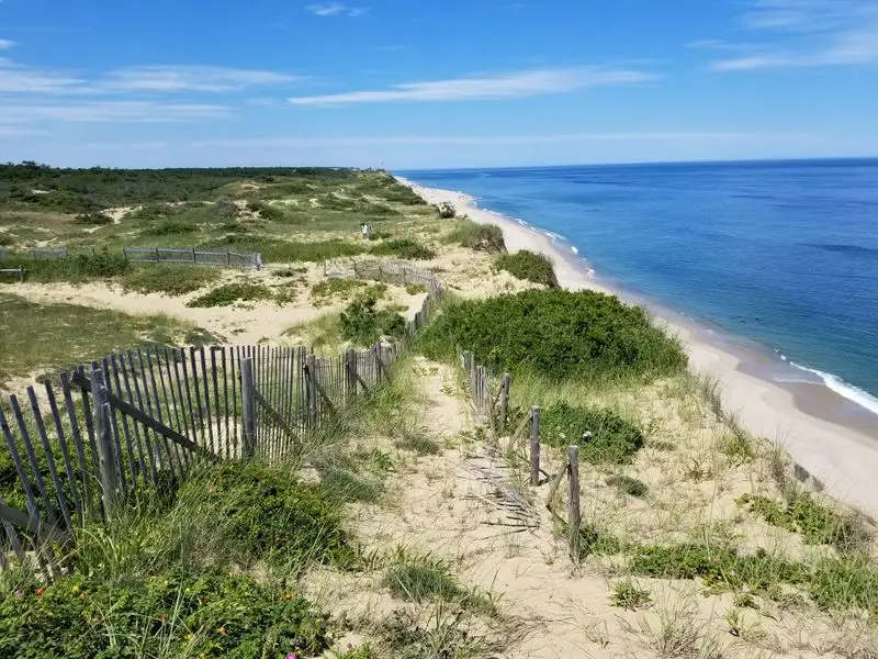 Peaceful Picnic Spots