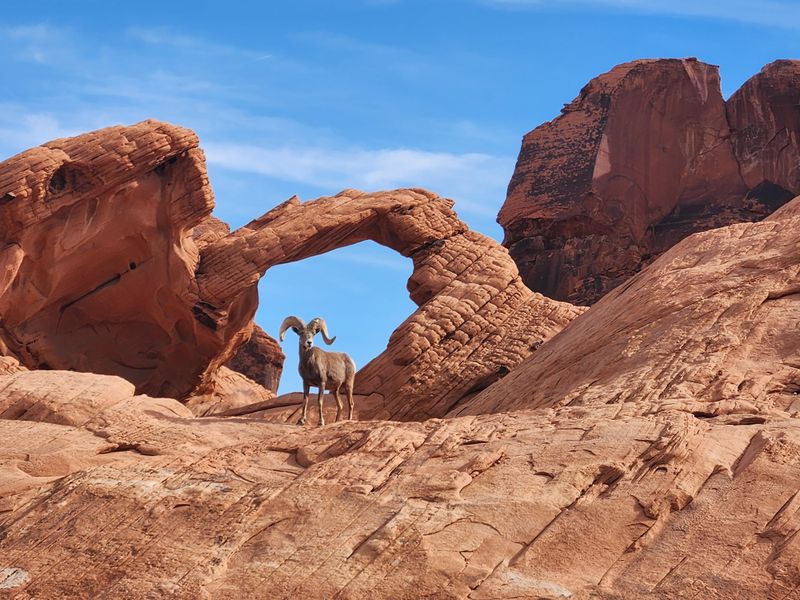 Arch Rock — Nevada