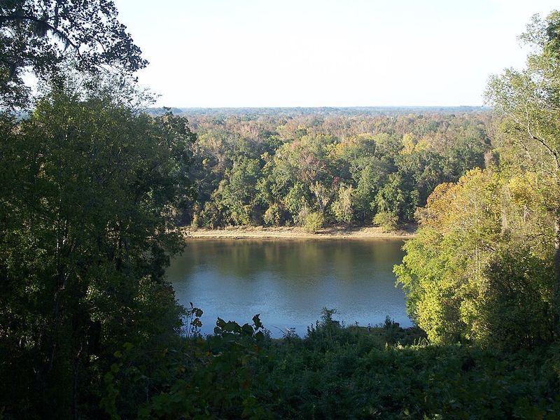 Picturesque River Views
