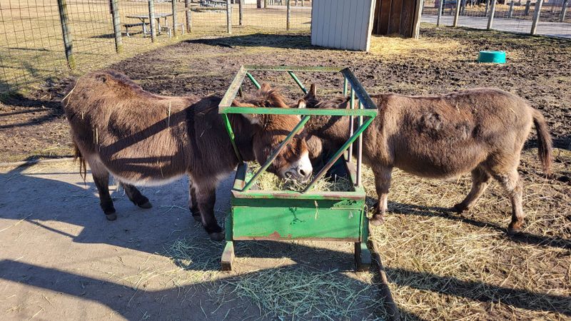 Kensington Farm Center