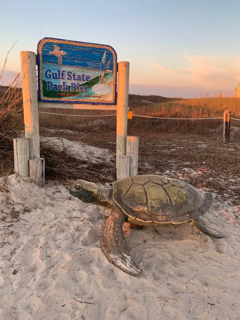 Adventure Activities