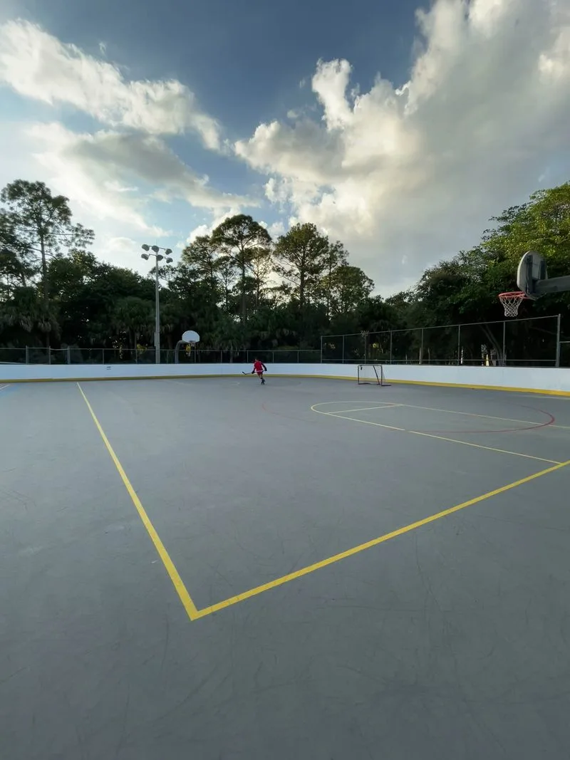 Sports Facilities: Fields, Courts, and Rink