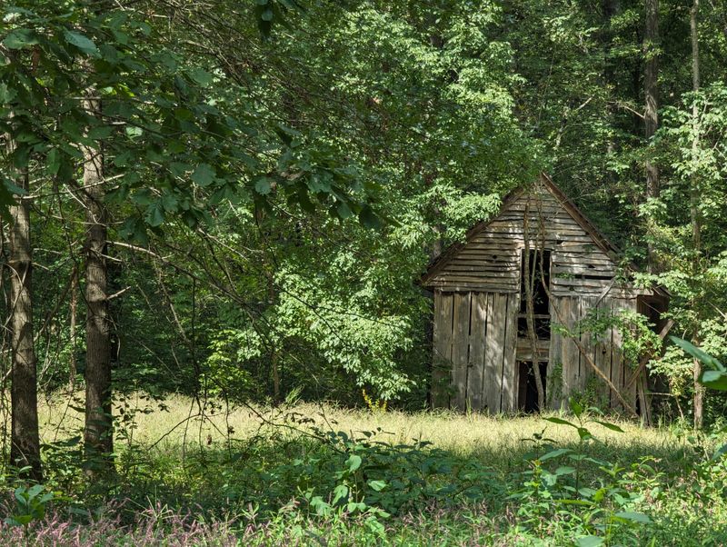 Birdwatcher's Paradise