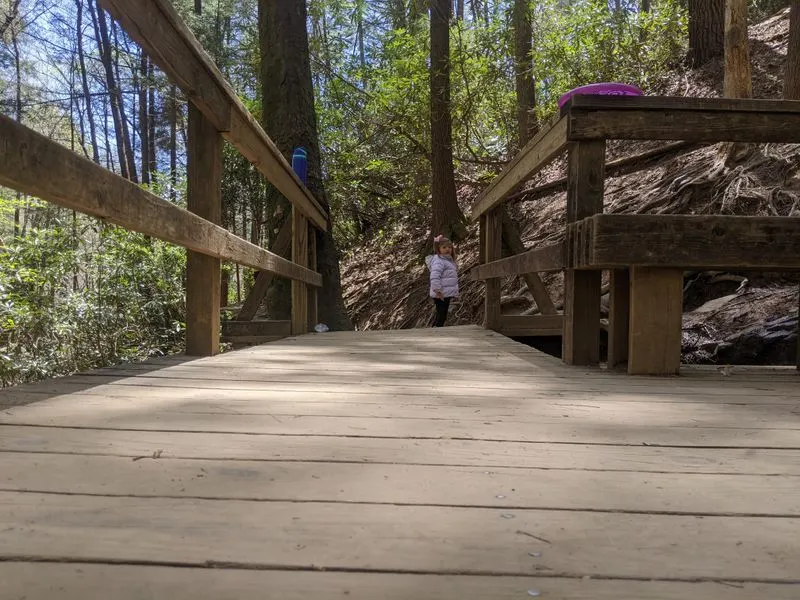 Sunrise Ridgeline Magic