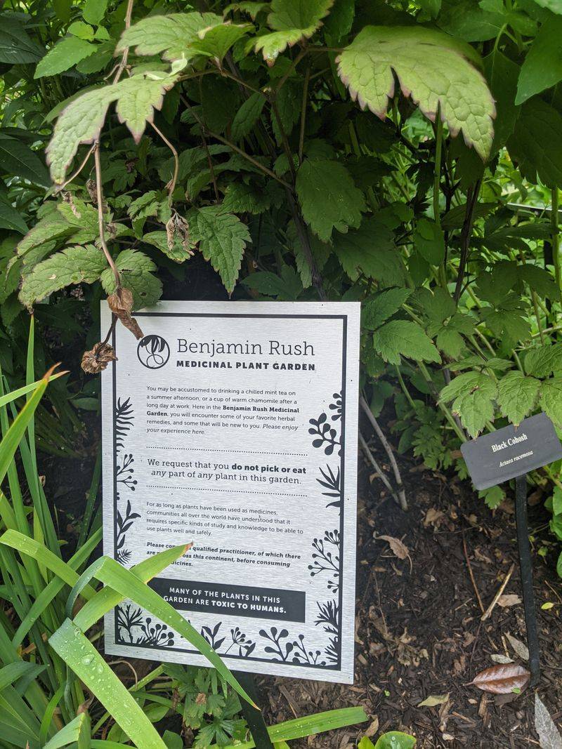 The Building, Library Vibes, and Physic Garden