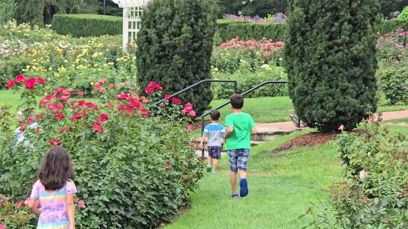 Kid-Friendly Learning Moments