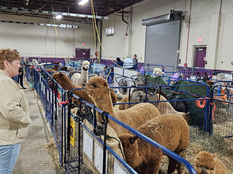 Family-Friendly Atmosphere