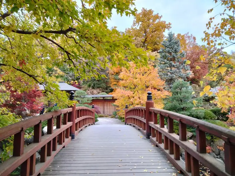 Anderson Japanese Gardens (Rockford)