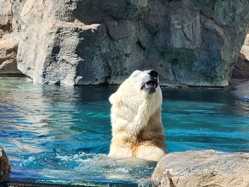 New Mexico – ABQ BioPark Zoo – Albuquerque