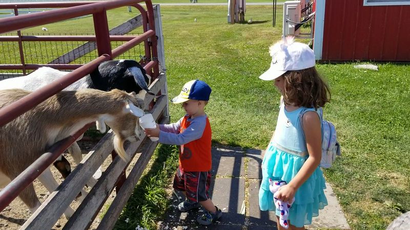 Old McDonald’s Farm - Sackets Harbor, New York