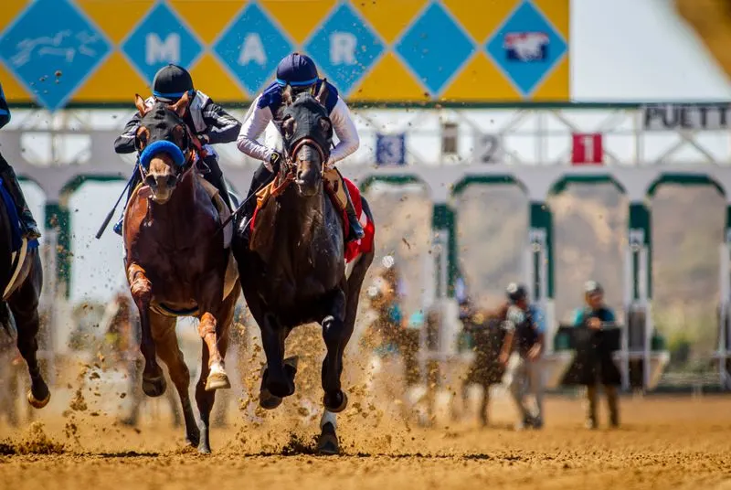 Del Mar Thoroughbred Club (Del Mar, CA)