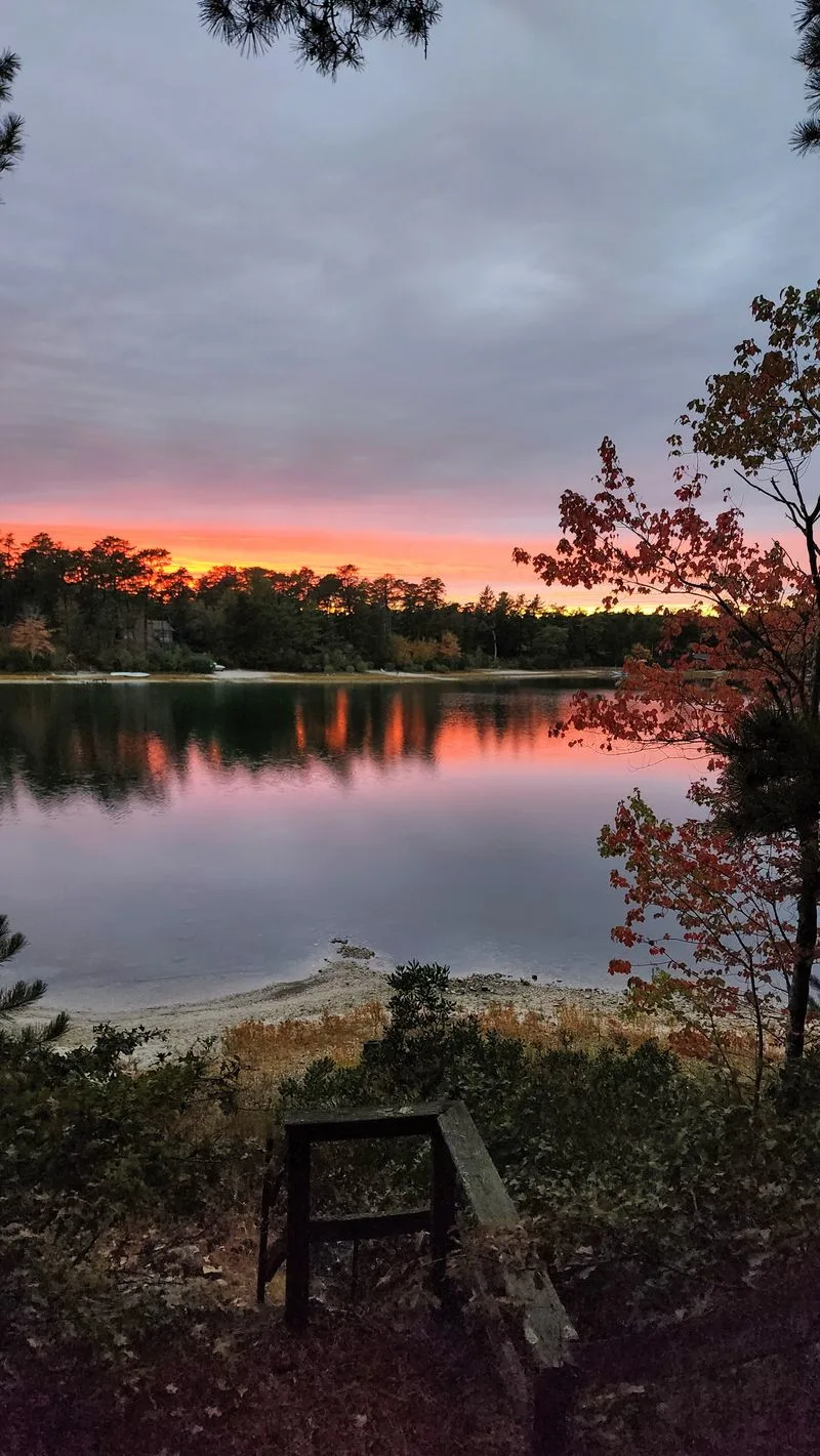 Myles Standish State Forest